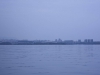 acid_1223