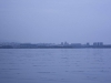 acid_1224