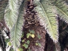 acid_1257