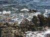 acid_1642