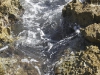 acid_1645